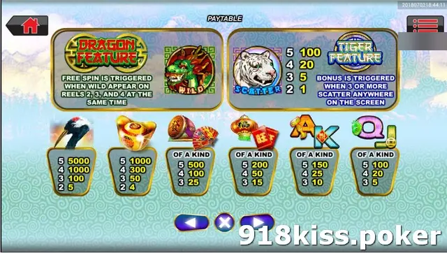 Double Fortune paytable showing the Dragon Feature and Tiger Feature boxes above the symbol payouts